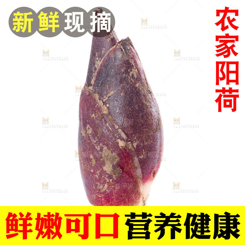 白底上摆放着阳荷姜
