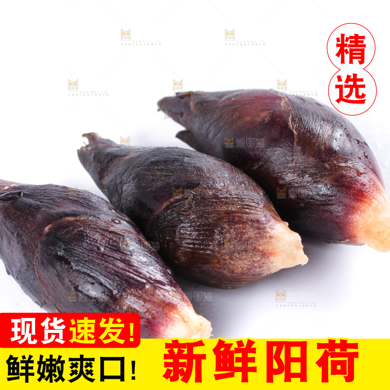 白底上摆放着阳荷姜