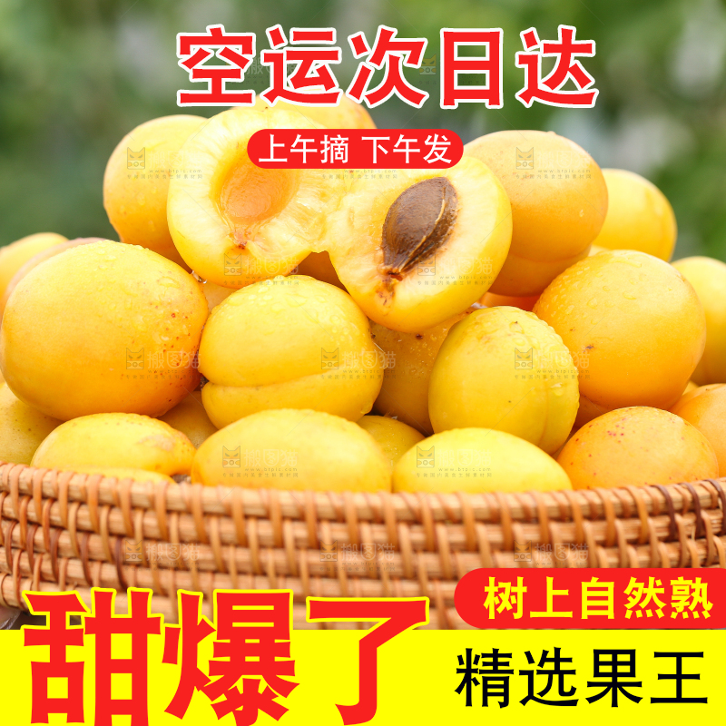 手里拿着一篮库车小白杏