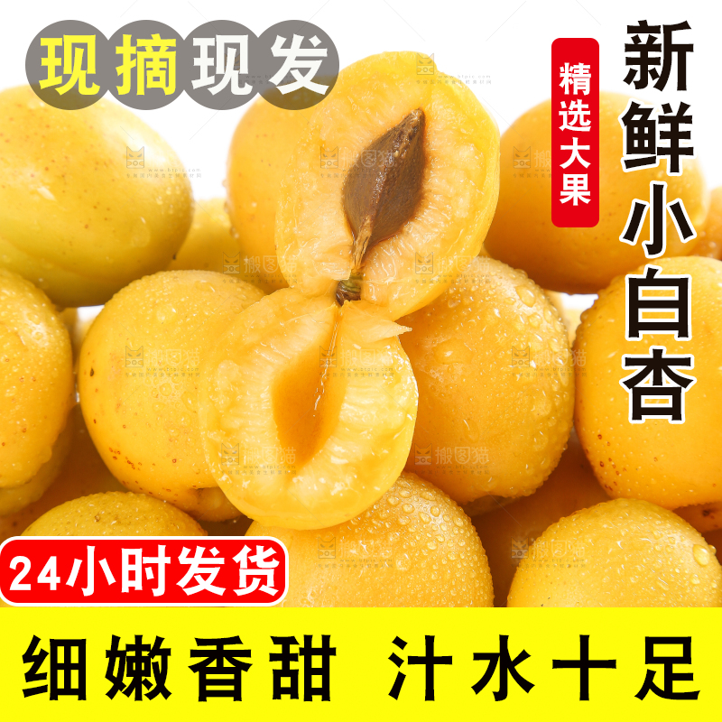盘子里装着新疆小白杏
