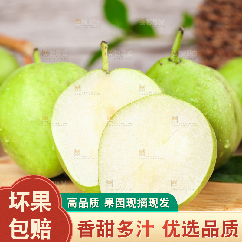木板上摆放着早酥梨