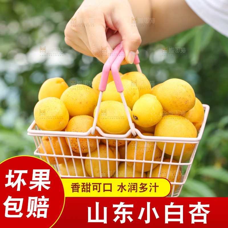 手里拿着一篮小白杏