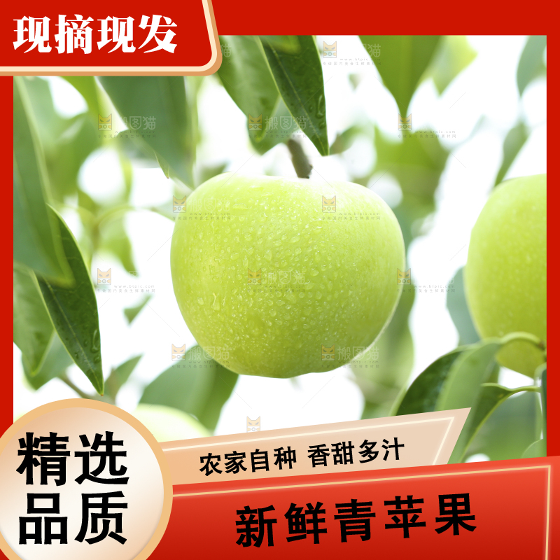 树枝上的青苹果