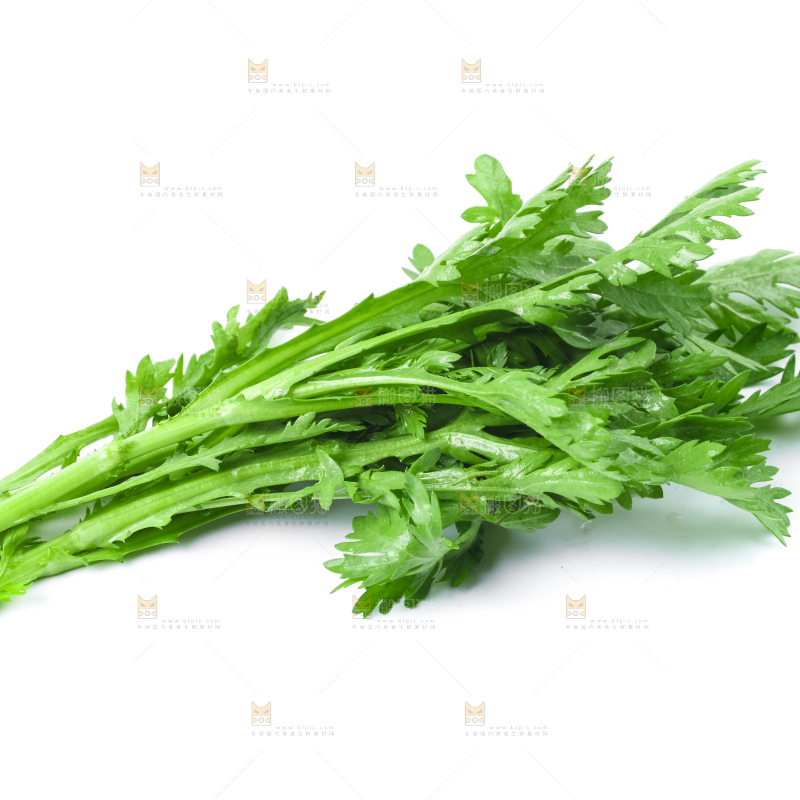 白底上的蓬蒿菜