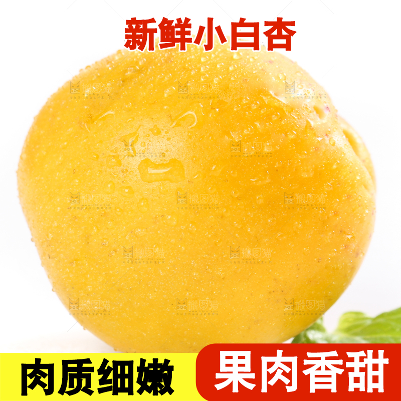 白底上摆放着小白杏