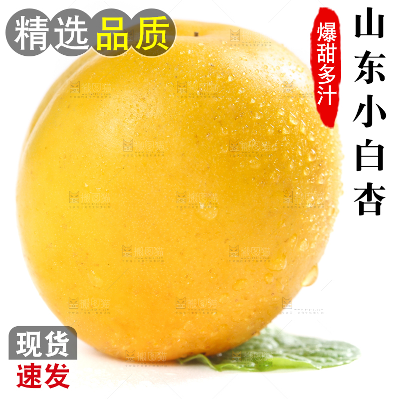 白底上摆放着小白杏