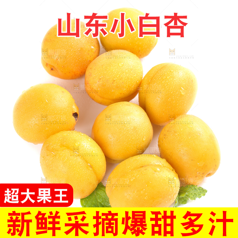 白底上摆放着小白杏