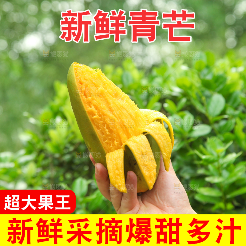 手里拿着正在剥皮的大青芒
