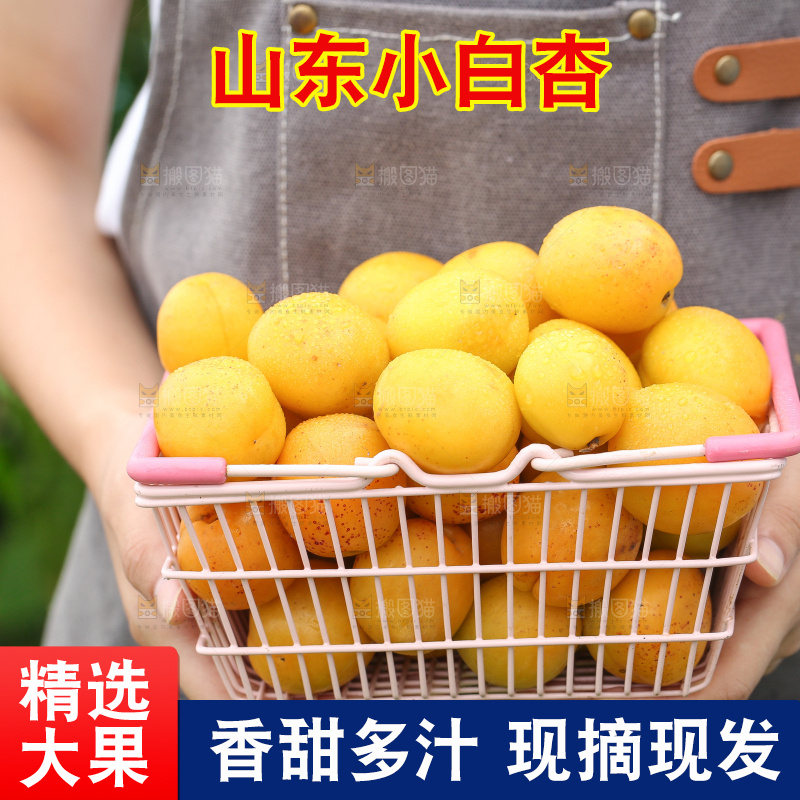 手里拿着一篮小白杏