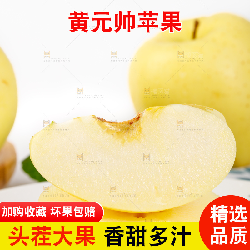 浅底上的烟台黄元帅