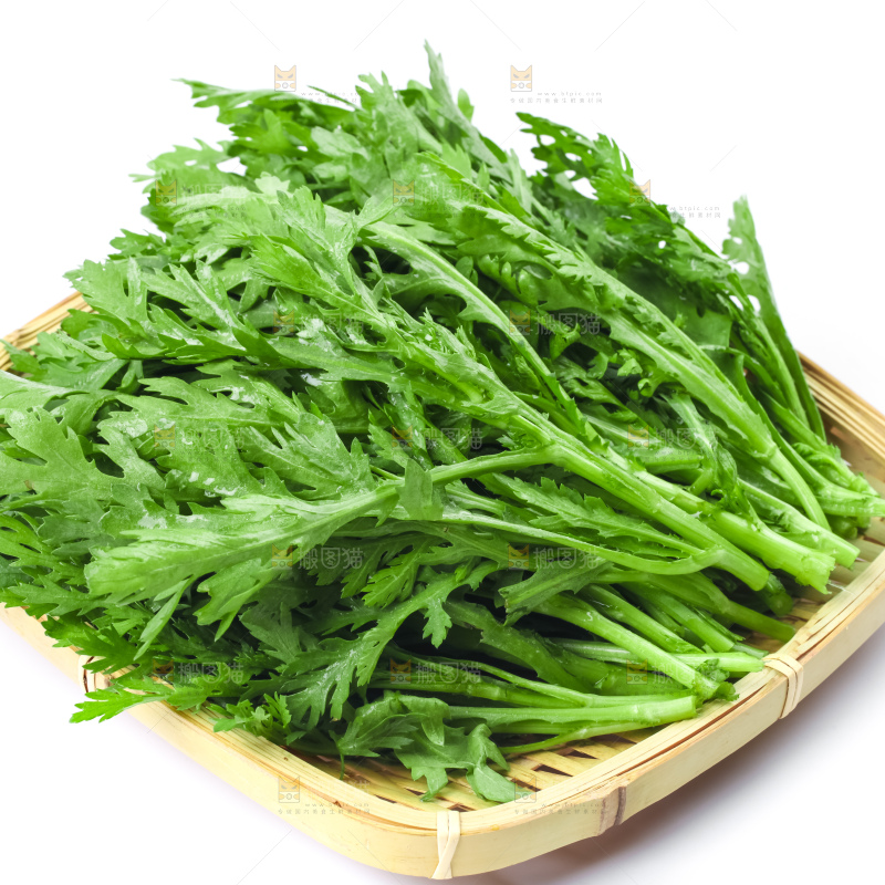 白底上的蓬蒿菜
