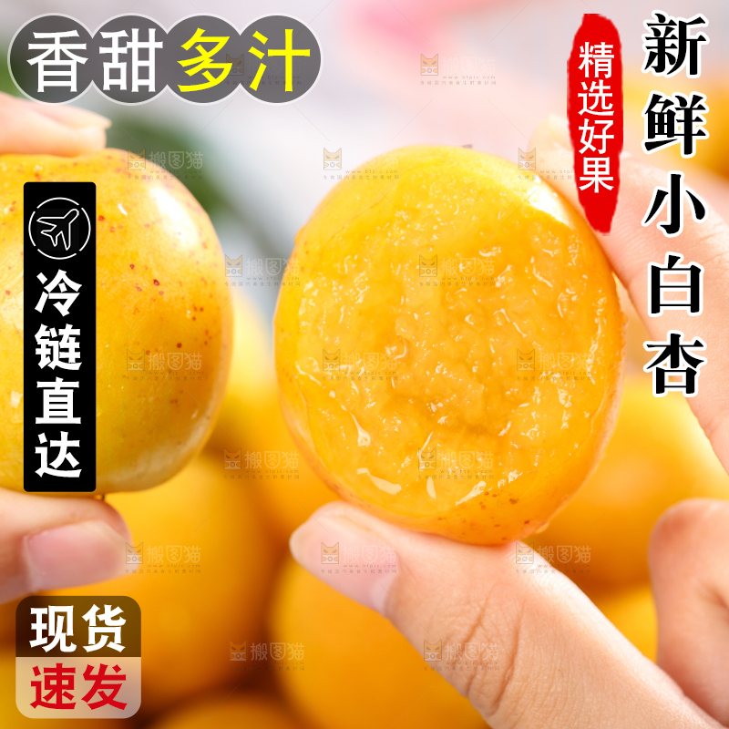 手里拿着小白杏