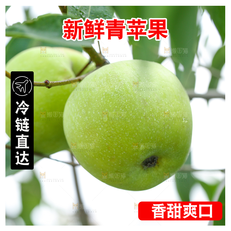 树枝上的青苹果