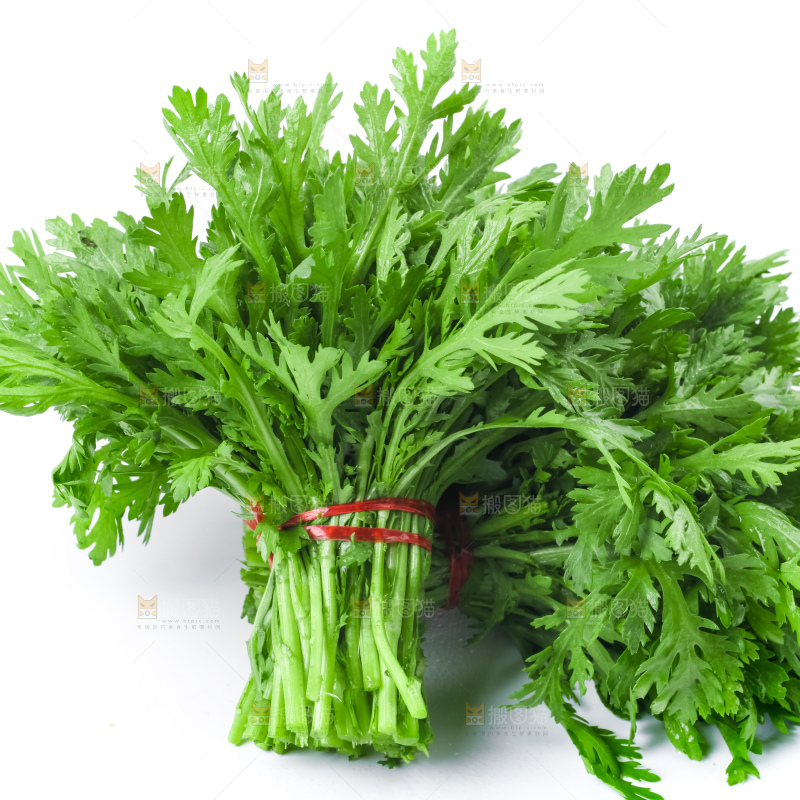 白底上的蓬蒿菜