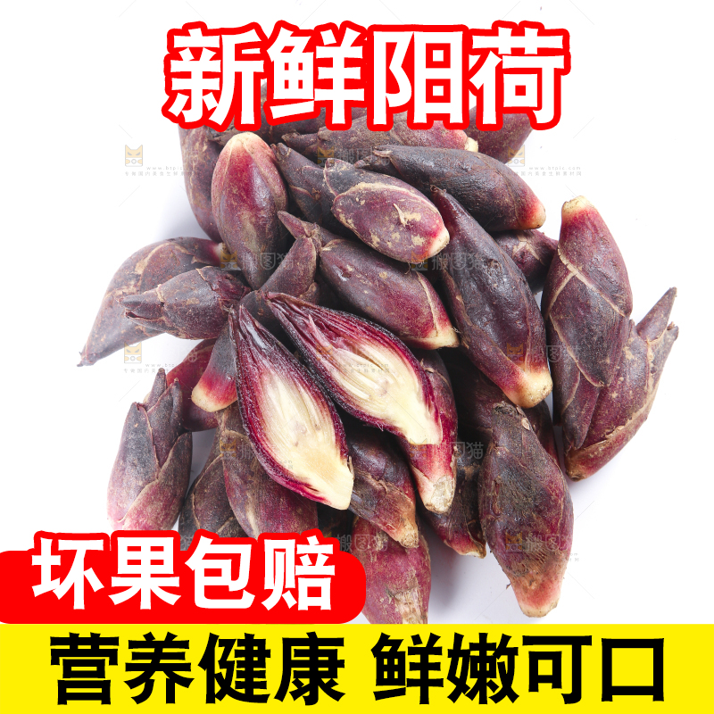白底上摆放着阳荷姜