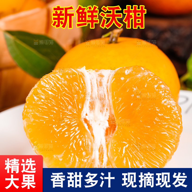 木板上的广西武鸣沃柑