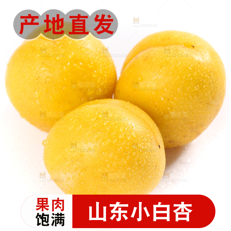 白底上摆放着小白杏