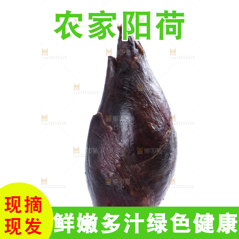 白底上摆放着阳荷姜