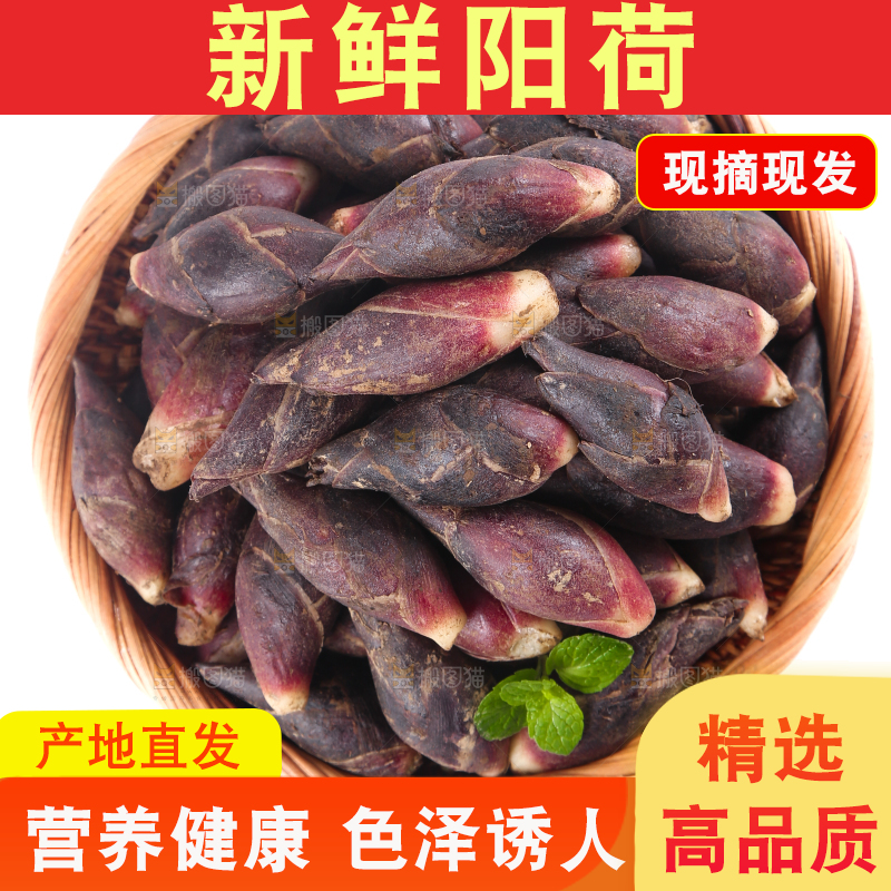 篮子里装着阳荷