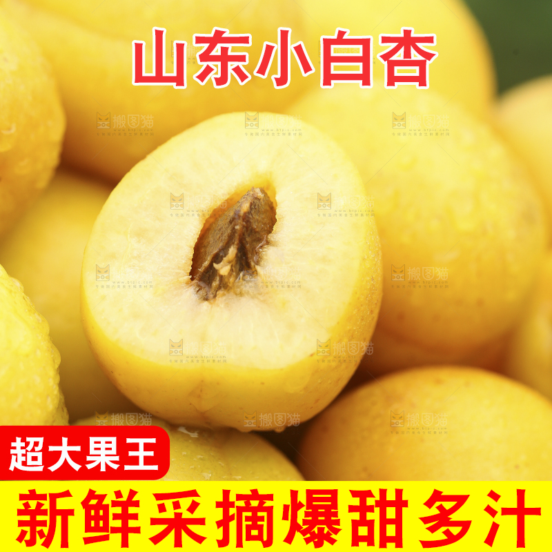 篮子里装着新鲜小白杏