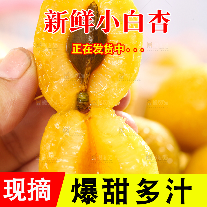 手里拿着小白杏