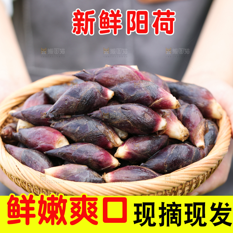 手里端着一篮阳荷