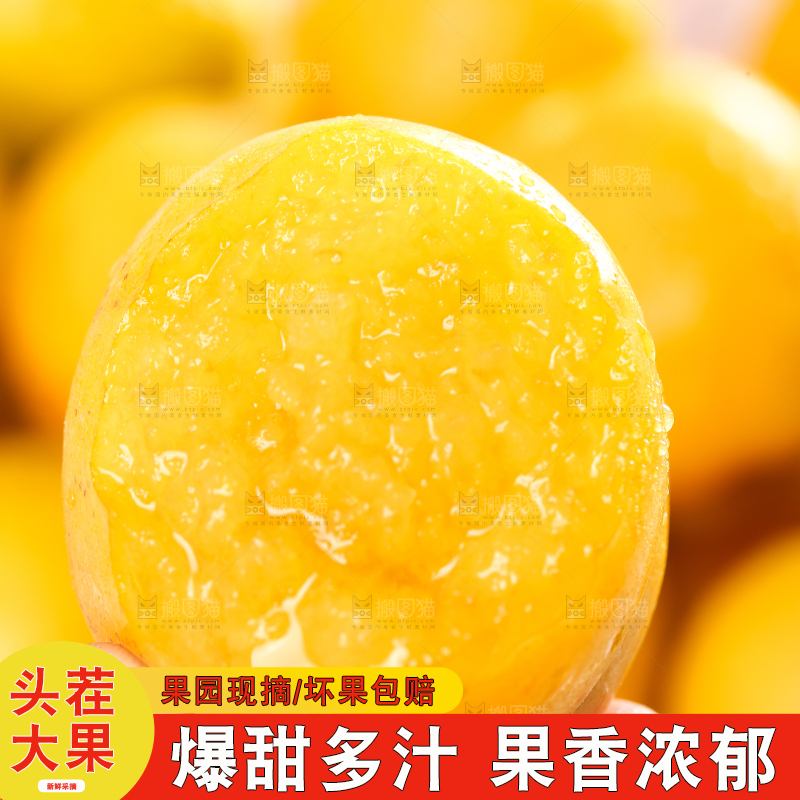 手里拿着小白杏