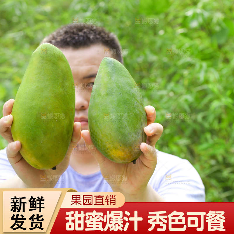 手里拿着大青芒