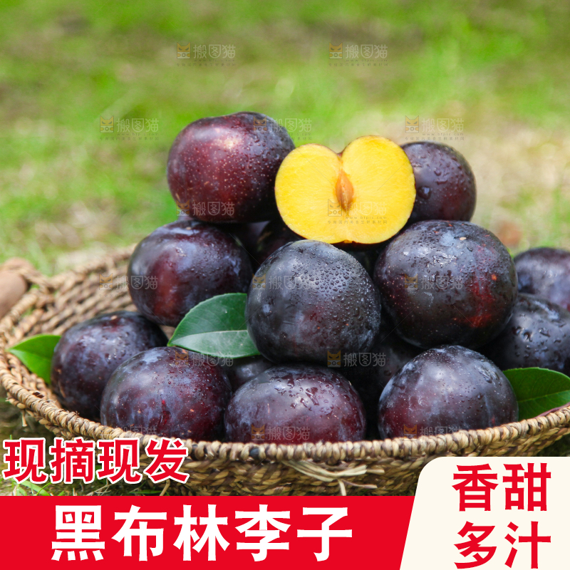 篮子里装着黑布林