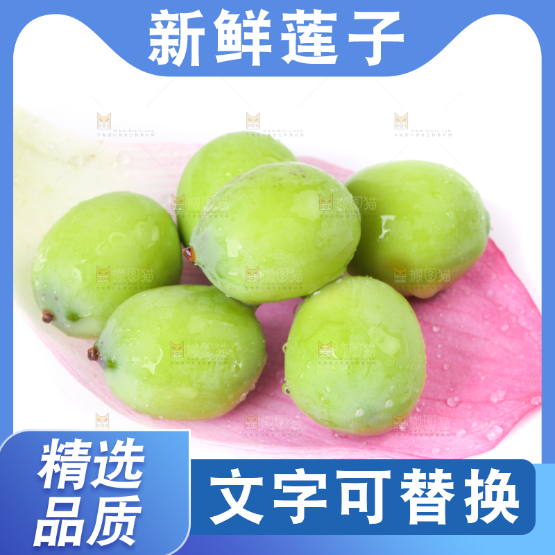 荷花上摆放着嫩莲子