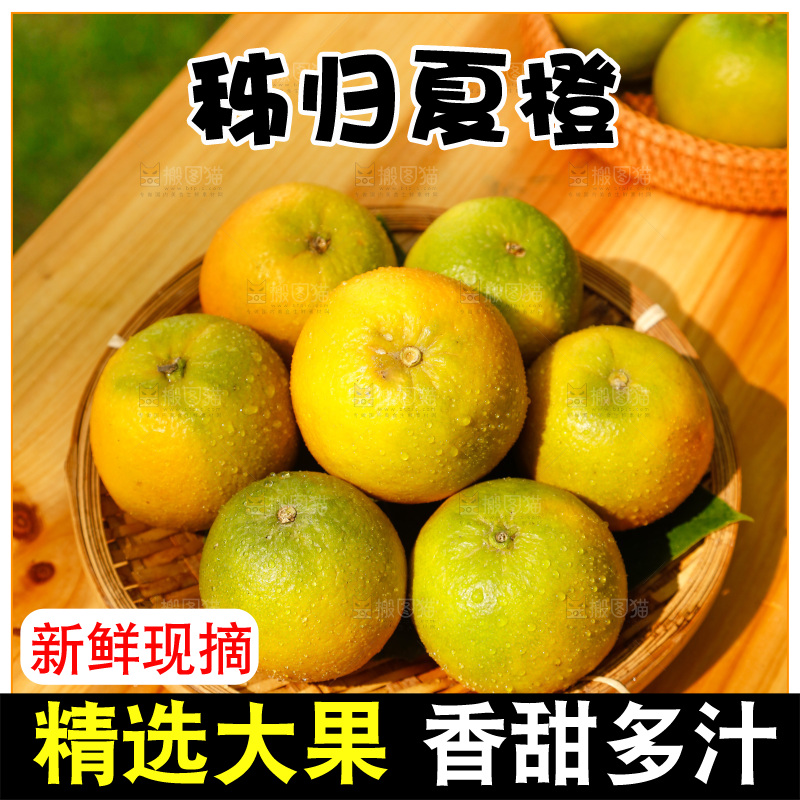 篮子里装着秭归夏橙