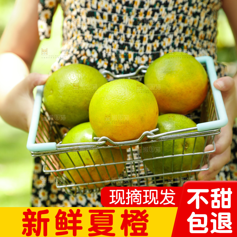 手里提着一篮新鲜夏橙