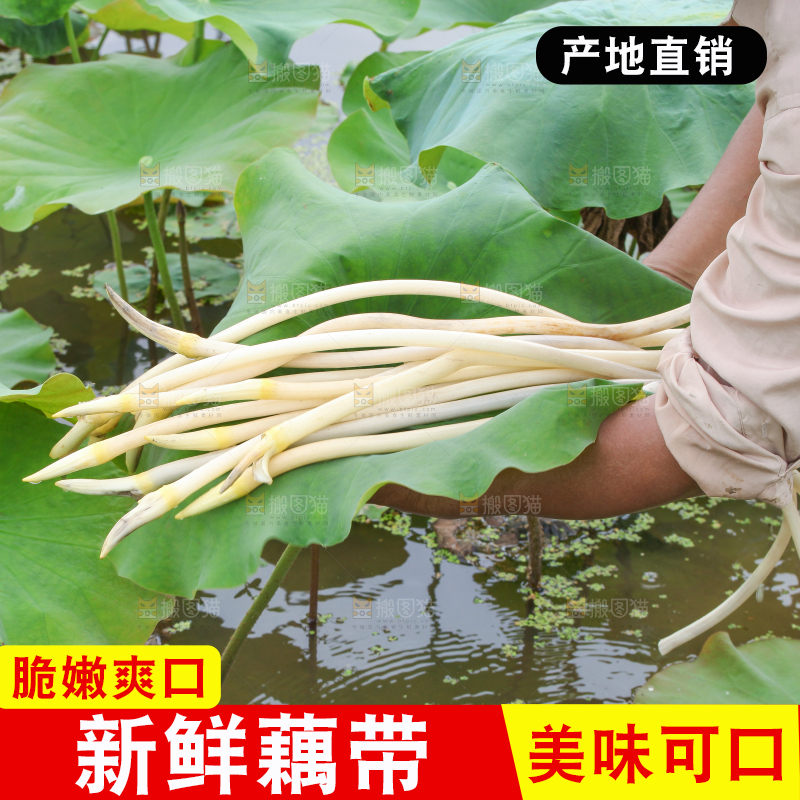 手里拿着新鲜藕带