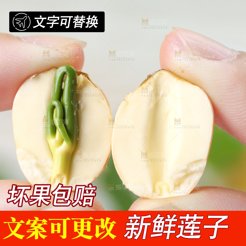 手里拿着莲子米