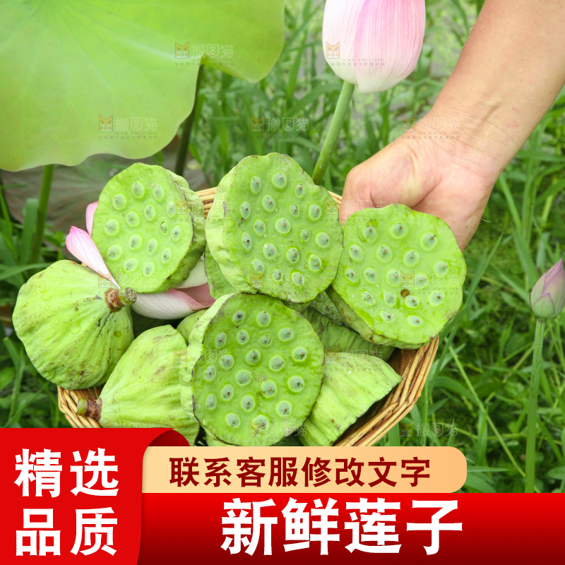 篮子里装着新鲜莲蓬