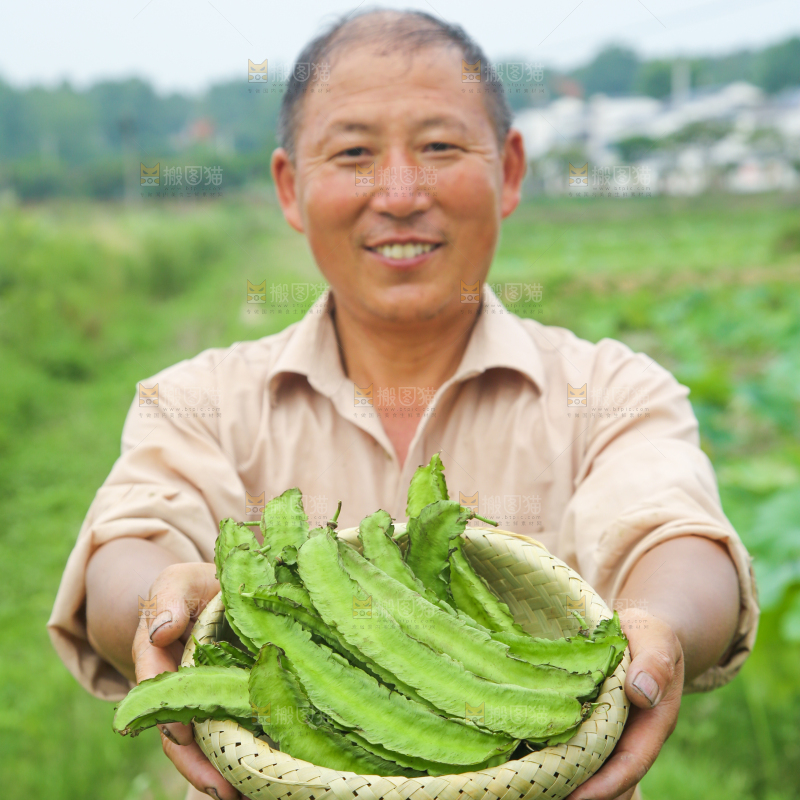 农民手里拿着一篮四角豆