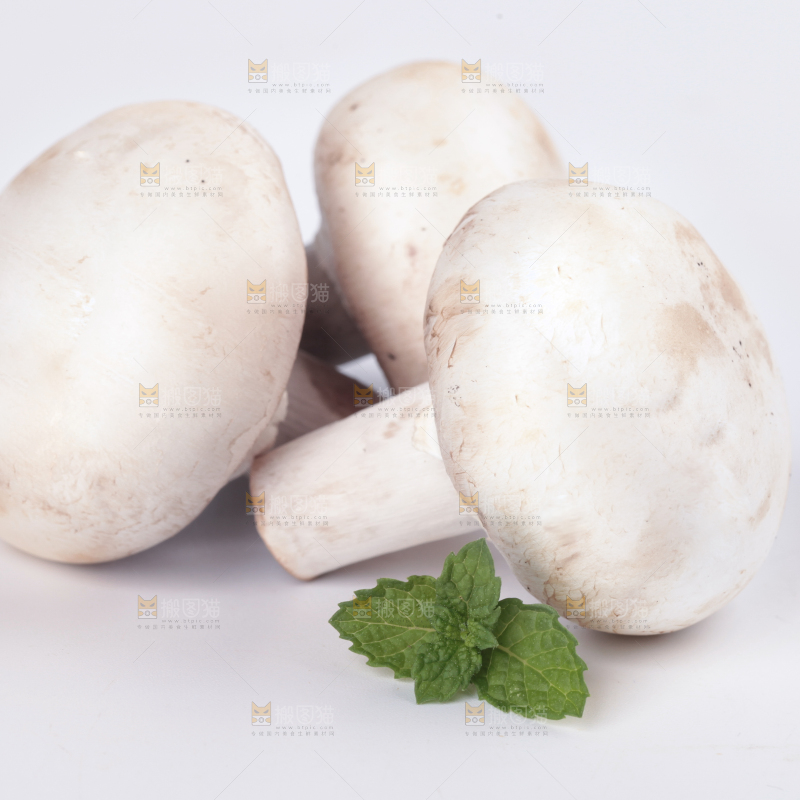 白底上摆放着白菇