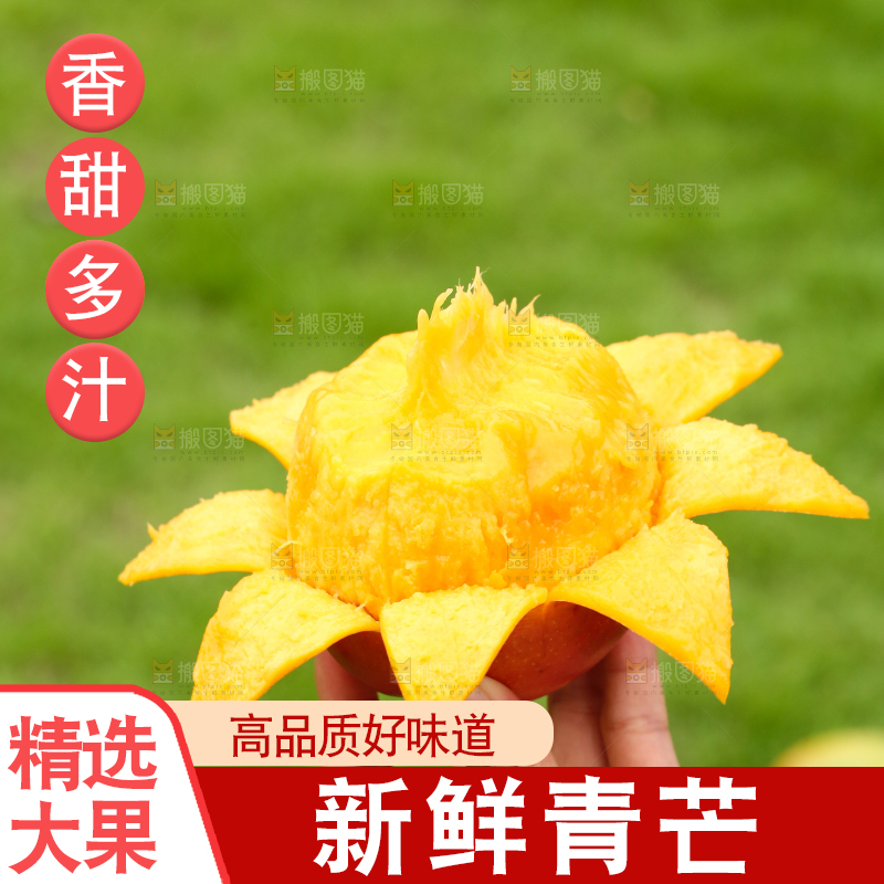 手里拿着青芒