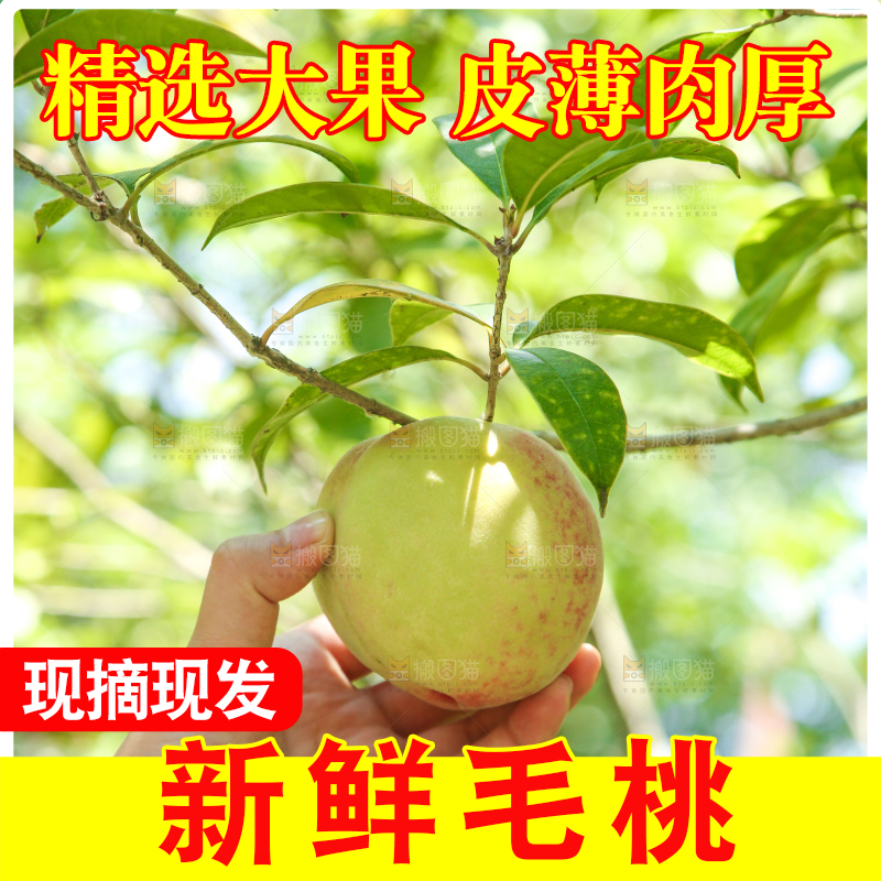 手里拿着蜜桃