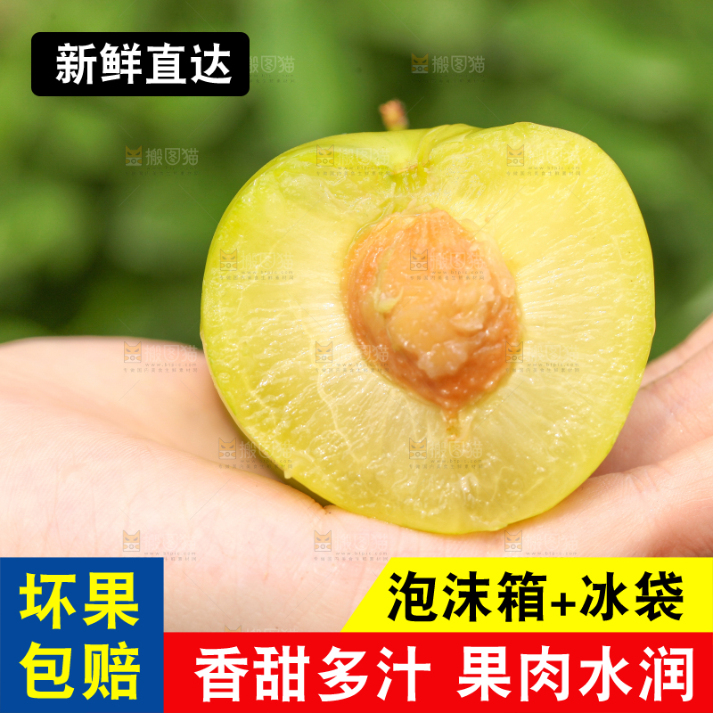 手里拿着蜂糖李子