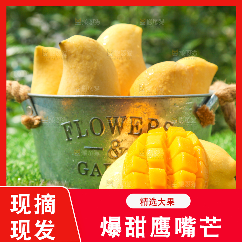 绿草地上放着一小桶鹰嘴芒