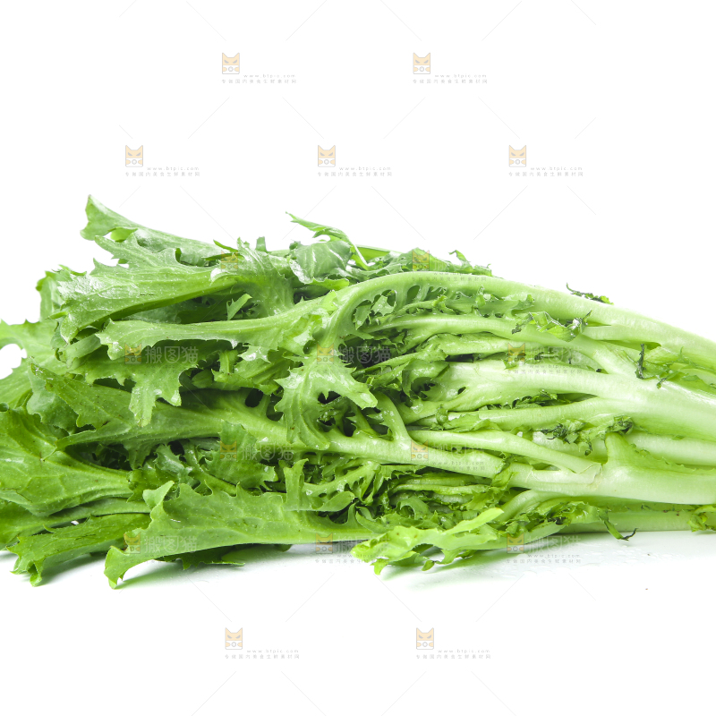 白底上摆放着苦菊