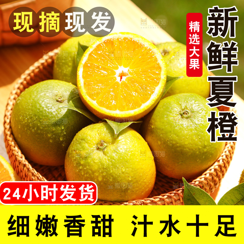 木底上摆放着湖北秭归夏橙
