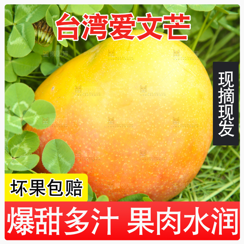 草地上放着一颗爱文芒