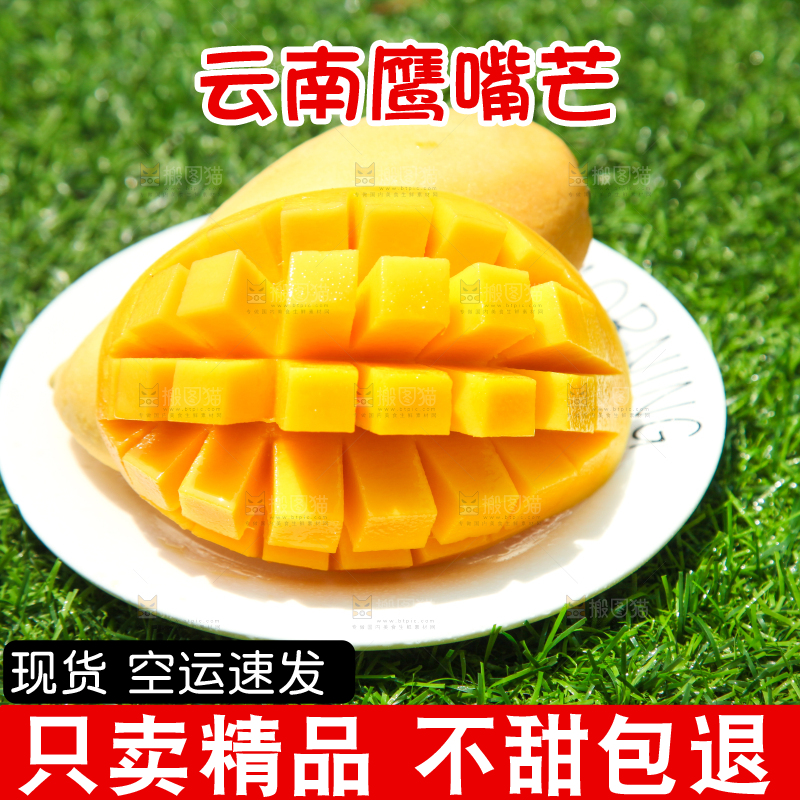 绿草地上摆放着鹰嘴芒果