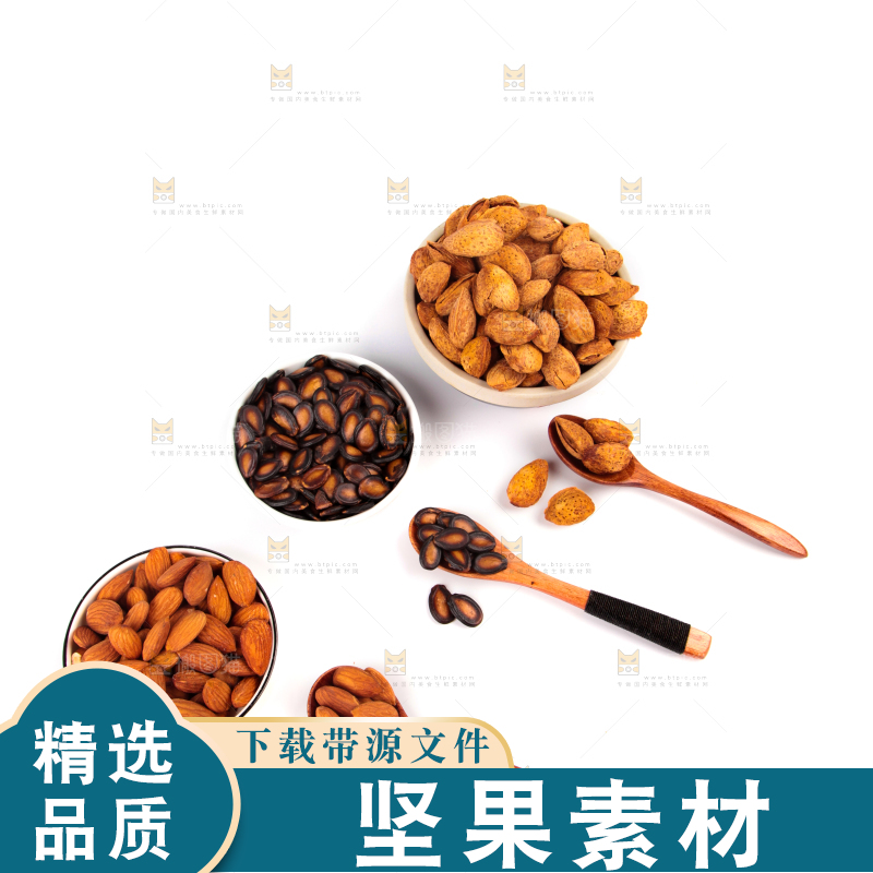 白底上的坚果素材