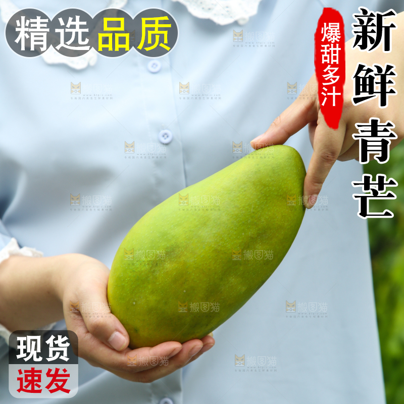 手里拿着青芒