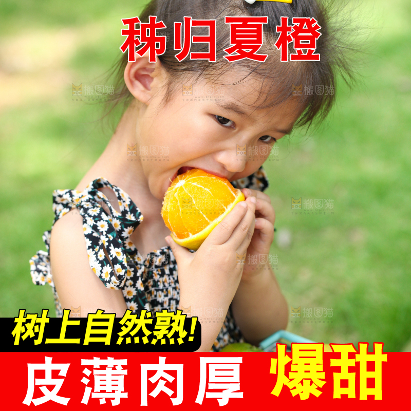 小女孩正在吃夏橙