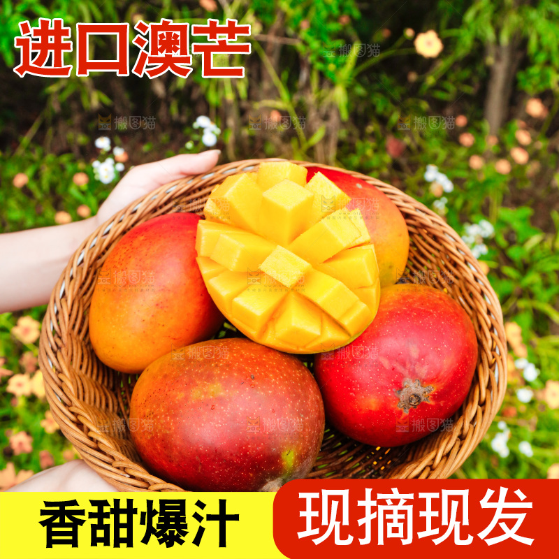 手里端着一篮新鲜澳芒