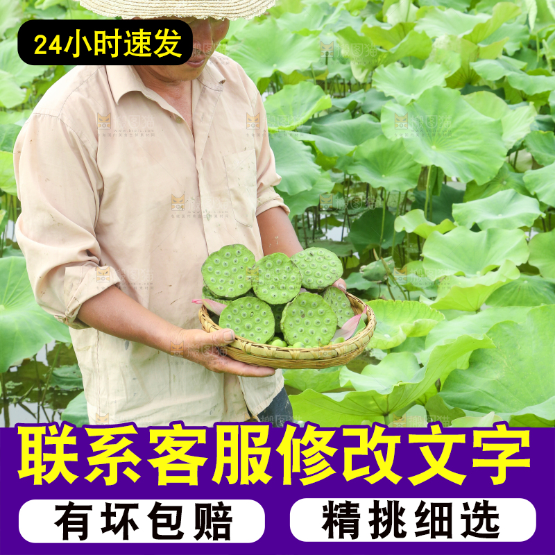 手里端着一篮新鲜莲蓬